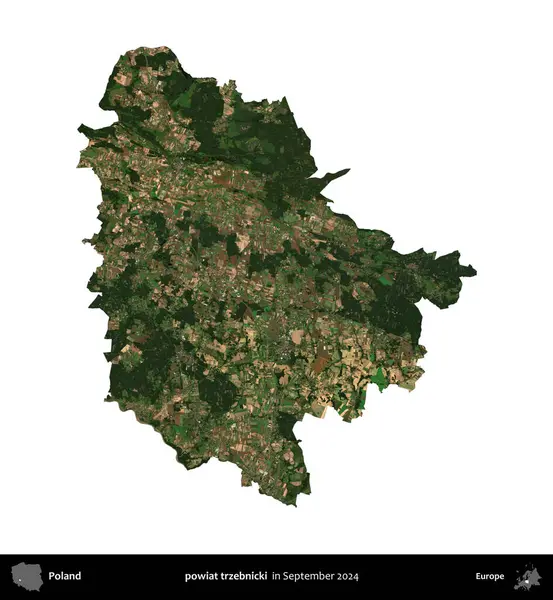 powiat trzebnicki. Polonya idari bölgesi, Eylül 2024 'te çekilen Kopernik Nöbetçi karolarından oluşan bir uydu görüntüsü üzerinde beyaza izole edildi.