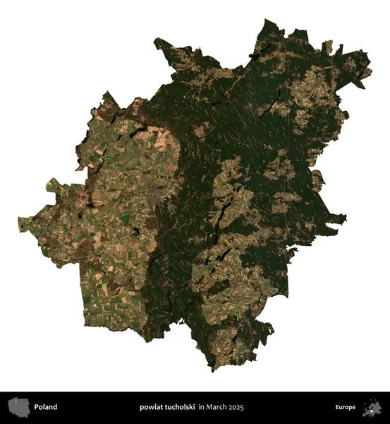 powiat tucholski. Polonya idari bölgesi, Mart 2025 'te çekilen Kopernik Nöbetçi karolarından oluşan bir uydu görüntüsü üzerinde beyaza izole edildi.