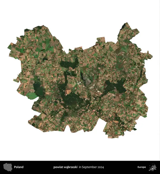 powiat wabrzeski. Polonya idari bölgesi, Eylül 2024 'te çekilen Kopernik Nöbetçi karolarından oluşan bir uydu görüntüsü üzerinde beyaza izole edildi.
