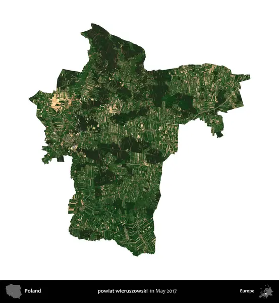 powiat wieruszowski. Polonya idari bölgesi, Mayıs 2017 'de çekilen Kopernik Nöbetçi karolarından oluşan bir uydu görüntüsü üzerinde beyaza izole edildi.