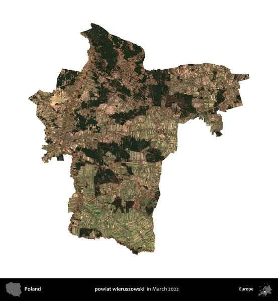 powiat wieruszowski. Polonya idari bölgesi, Mart 2022 'de çekilen Kopernik Nöbetçi karolarından oluşan bir uydu görüntüsü üzerinde beyaza izole edildi.