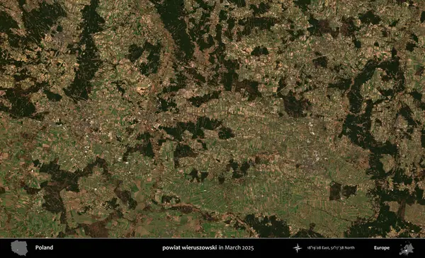 powiat wieruszowski. Copernicus Sentinel 'in Mart 2025' te çekilmiş uydu görüntüsü üzerine Polonya 'nın idari bölgesi