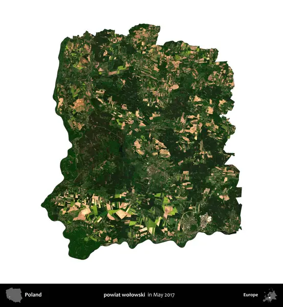powiat wolowski. Polonya idari bölgesi, Mayıs 2017 'de çekilen Kopernik Nöbetçi karolarından oluşan bir uydu görüntüsü üzerinde beyaza izole edildi.