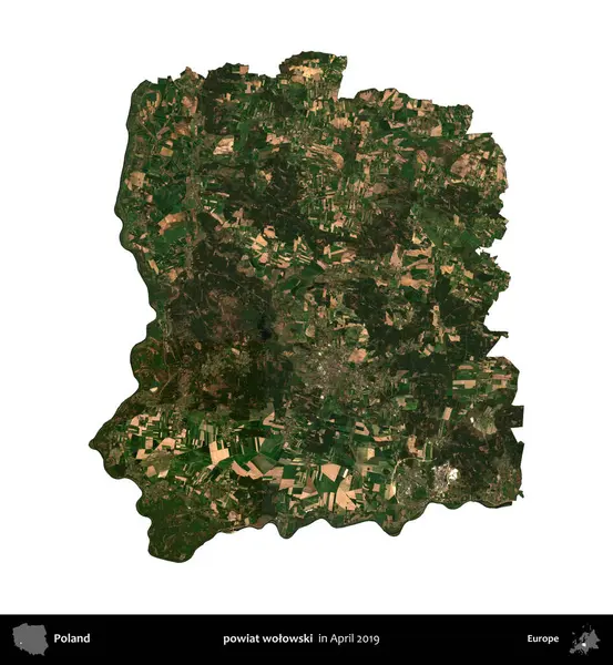 powiat wolowski. Polonya idari bölgesi, Nisan 2019 'da çekilen Kopernik Nöbetçi karolarından oluşan bir uydu görüntüsü üzerinde beyaza izole edildi.
