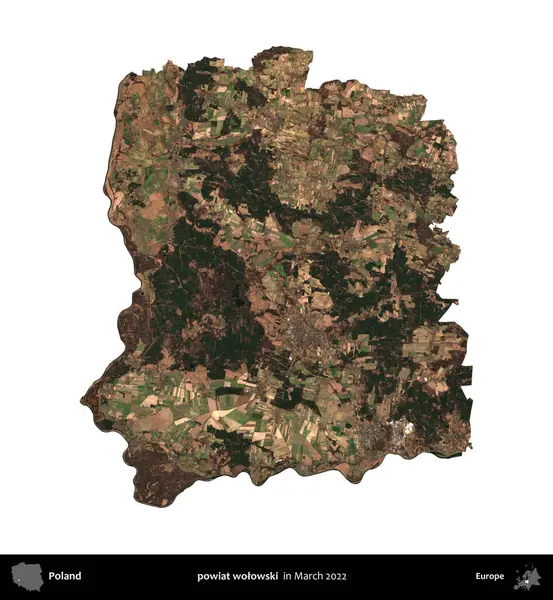 powiat wolowski. Polonya idari bölgesi, Mart 2022 'de çekilen Kopernik Nöbetçi karolarından oluşan bir uydu görüntüsü üzerinde beyaza izole edildi.