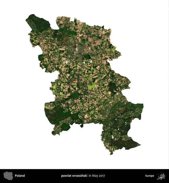 powiat wrzesinski. Polonya idari bölgesi, Mayıs 2017 'de çekilen Kopernik Nöbetçi karolarından oluşan bir uydu görüntüsü üzerinde beyaza izole edildi.