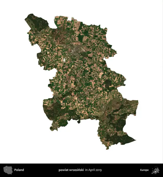 powiat wrzesinski. Polonya idari bölgesi, Nisan 2019 'da çekilen Kopernik Nöbetçi karolarından oluşan bir uydu görüntüsü üzerinde beyaza izole edildi.