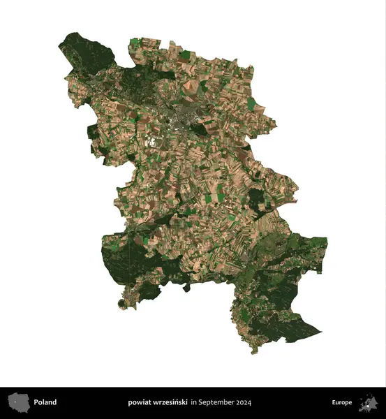 powiat wrzesinski. Polonya idari bölgesi, Eylül 2024 'te çekilen Kopernik Nöbetçi karolarından oluşan bir uydu görüntüsü üzerinde beyaza izole edildi.