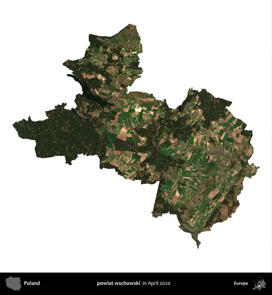powiat wschowski. Polonya idari bölgesi, Nisan 2020 'de çekilen Kopernik Nöbetçi karolarından oluşan bir uydu görüntüsü üzerinde beyaza izole edildi.