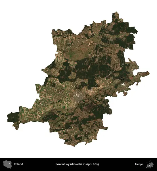 powiat wyszkowski. Polonya idari bölgesi, Nisan 2019 'da çekilen Kopernik Nöbetçi karolarından oluşan bir uydu görüntüsü üzerinde beyaza izole edildi.