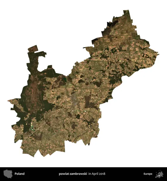 powiat zambrowski. Polonya idari bölgesi, Nisan 2018 'de çekilen Kopernik Nöbetçi karolarından oluşan bir uydu görüntüsü üzerinde beyaza izole edildi.