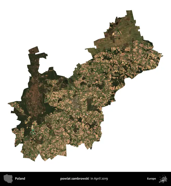powiat zambrowski. Polonya idari bölgesi, Nisan 2019 'da çekilen Kopernik Nöbetçi karolarından oluşan bir uydu görüntüsü üzerinde beyaza izole edildi.