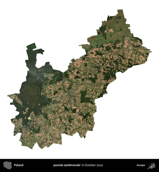 powiat zambrowski. Polonya idari bölgesi, Ekim 2024 'te çekilen Kopernik Nöbetçi karolarından oluşan bir uydu görüntüsü üzerinde beyaza izole edildi.