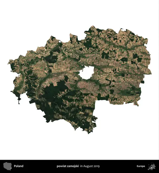 powiat zamojski. Polonya idari bölgesi, Ağustos 2019 'da çekilen Kopernik Nöbetçi karolarından oluşan bir uydu görüntüsü üzerinde beyaza izole edildi.