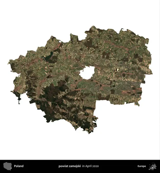 powiat zamojski. Polonya idari bölgesi, Nisan 2020 'de çekilen Kopernik Nöbetçi karolarından oluşan bir uydu görüntüsü üzerinde beyaza izole edildi.