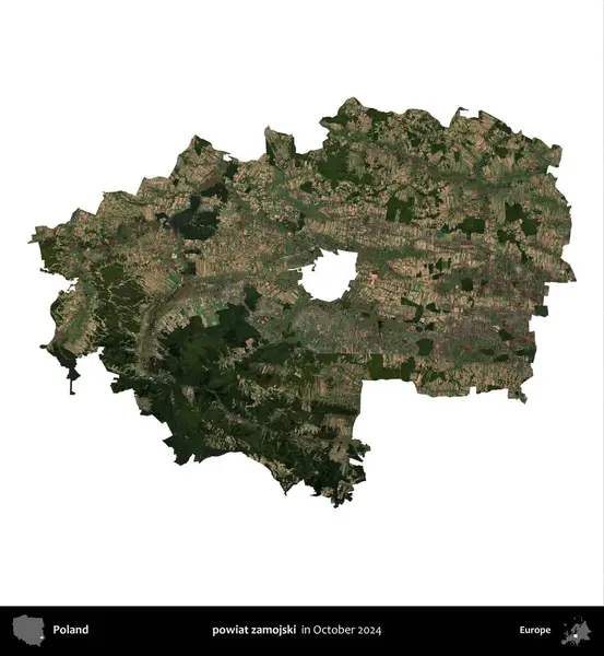 powiat zamojski. Polonya idari bölgesi, Ekim 2024 'te çekilen Kopernik Nöbetçi karolarından oluşan bir uydu görüntüsü üzerinde beyaza izole edildi.