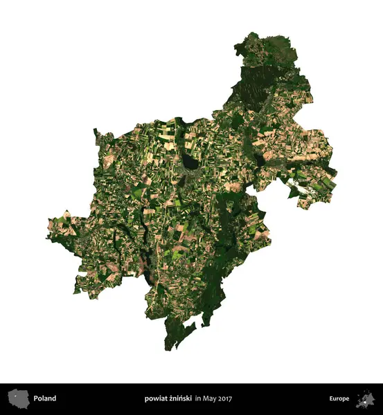 powiat zninski. Polonya idari bölgesi, Mayıs 2017 'de çekilen Kopernik Nöbetçi karolarından oluşan bir uydu görüntüsü üzerinde beyaza izole edildi.