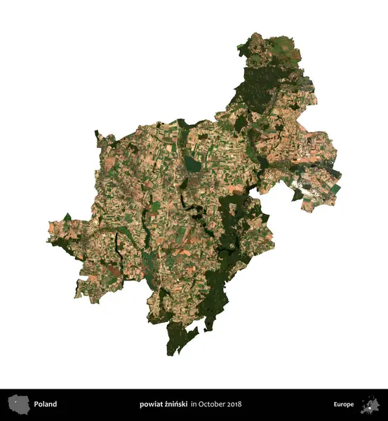 powiat zninski. Polonya idari bölgesi, Ekim 2018 'de çekilen Kopernik Nöbetçi karolarından oluşan bir uydu görüntüsü üzerinde beyaza izole edildi.