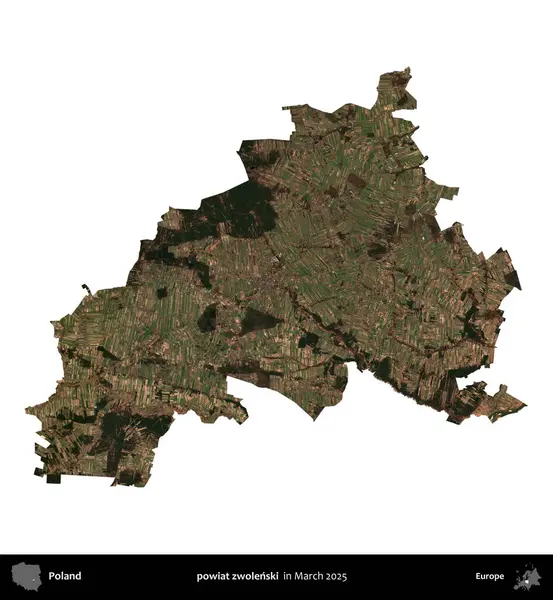 powiat zwolenski. Polonya idari bölgesi, Mart 2025 'te çekilen Kopernik Nöbetçi karolarından oluşan bir uydu görüntüsü üzerinde beyaza izole edildi.