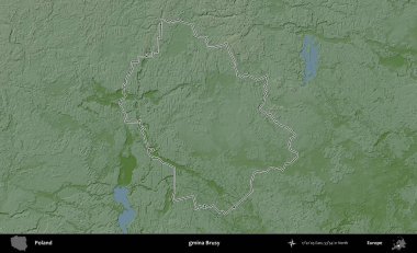 Özel bir komün. Polonya 'nın idari bölgesi renkli bir yükseklik haritasında özetlendi