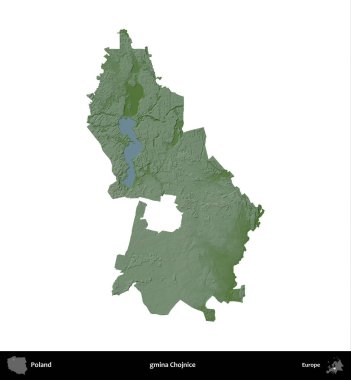Chojnice Komünü. Polonya 'nın idari bölgesi renkli bir yükseklik haritasında beyaza izole edildi
