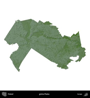 Plaska Komünü. Polonya 'nın idari bölgesi renkli bir yükseklik haritasında beyaza izole edildi