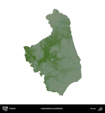 Podlaskie Eyaleti. Polonya 'nın idari bölgesi renkli bir yükseklik haritasında beyaza izole edildi