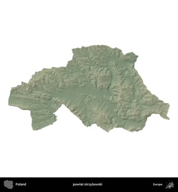 Strzyzowski İlçesi. Polonya 'nın idari bölgesi renkli bir yükseklik haritasında beyaza izole edildi