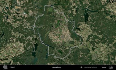 Özel bir komün. Polonya 'nın idari bölgesi B uydusundan alınan görüntülerle özetlendi