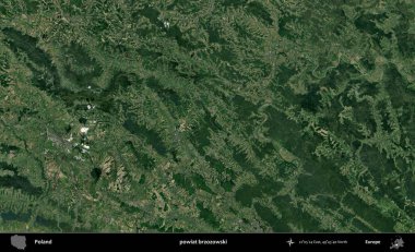 Brzozowski İlçesi. Polonya 'nın idari bölgesinde B uydusu görüntüleri