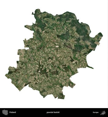 Losicki İlçesi. Polonya 'nın idari bölgesi B uydusundaki görüntülerde beyazla izole edildi