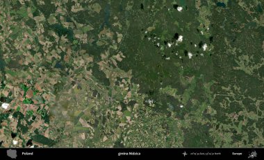 Nidzica Komünü. Polonya 'nın idari bölgesinde B uydusu görüntüleri