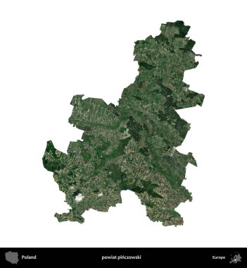 Pinczowski İlçesi. Polonya 'nın idari bölgesi B uydusundaki görüntülerde beyazla izole edildi