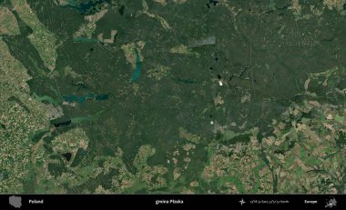 Plaska Komünü. Polonya 'nın idari bölgesinde B uydusu görüntüleri