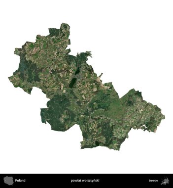 Wolsztynski İlçesi. Polonya 'nın idari bölgesi B uydusundaki görüntülerde beyazla izole edildi