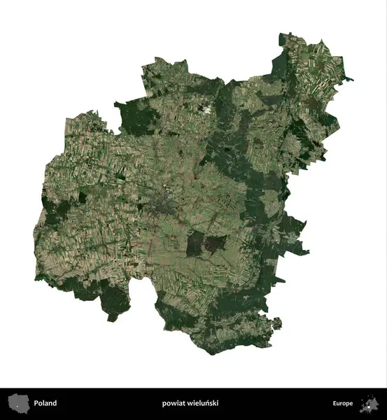 Wielunski İlçesi. Polonya 'nın idari bölgesi B uydusundaki görüntülerde beyazla izole edildi