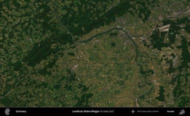 Landkreis Mainz-Bingen. Haziran 2017 'de çekilen Kopernik Sentinel karolarından oluşan bir uydu görüntüsü üzerine Almanya' nın idari bölgesi