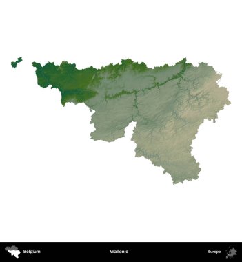 Wallonie. Belçika 'nın idari bölgesi renkli bir yükseklik haritasında beyaz üzerine izole edilmiş