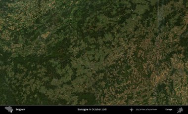 Bastogne. Copernicus Sentinel 'in Ekim 2018' de çekilmiş uydu görüntüsü üzerine Belçika 'nın idari bölgesi