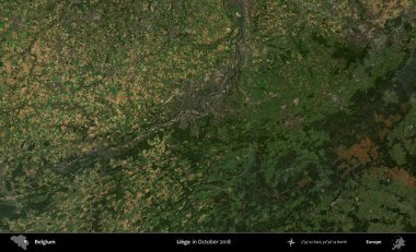 Liege. Copernicus Sentinel 'in Ekim 2018' de çekilmiş uydu görüntüsü üzerine Belçika 'nın idari bölgesi
