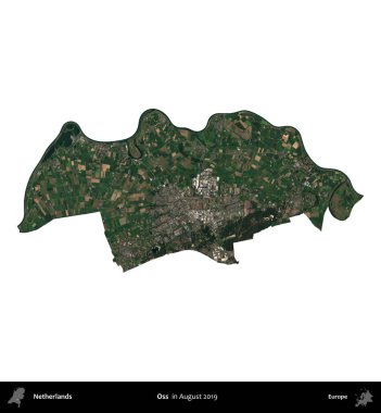 Oss. Hollanda idari bölgesi Ağustos 2019 'da çekilen Kopernik Sentinel karolarından oluşan bir uydu görüntüsü ile beyaza izole edilmiştir.