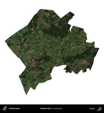 Batı yakası. Hollanda idari bölgesi, Haziran 2020 'de çekilen Copernicus Sentinel karolarından oluşan bir uydu görüntüsü ile beyaza izole edilmiştir.