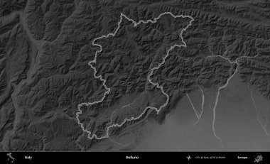 Belluno. İtalya 'nın idari bölgesi gri ölçekli bir yükselme haritasında özetlendi
