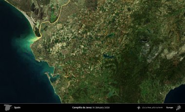 Campina de Jerez. Ocak 2020 'de çekilen Global Mozaik Sentinel-2 karolarından oluşan bir uydu görüntüsü üzerine İspanya' nın idari bölgesi