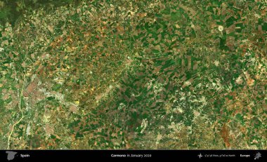 Carmona. Ocak 2020 'de çekilen Global Mozaik Sentinel-2 karolarından oluşan bir uydu görüntüsü üzerine İspanya' nın idari bölgesi