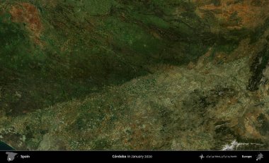 Cordoba. Ocak 2020 'de çekilen Global Mozaik Sentinel-2 karolarından oluşan bir uydu görüntüsü üzerine İspanya' nın idari bölgesi
