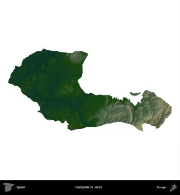 Campina de Jerez. İspanya 'nın idari bölgesi renkli bir yükseklik haritasında beyaza izole edilmiş