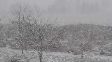 Kış. Kırsal bir alana kar yağıyor. Yavaş Hareket.