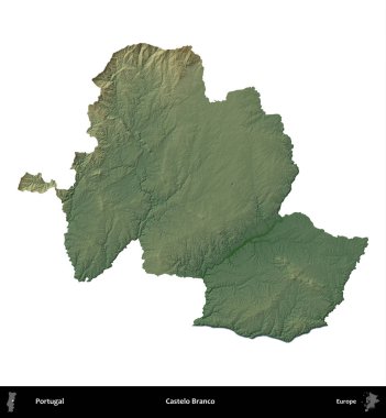 Castelo Branco. Portekiz 'in idari bölgesi renkli bir yükseklik haritasında beyaz üzerine izole edilmiş