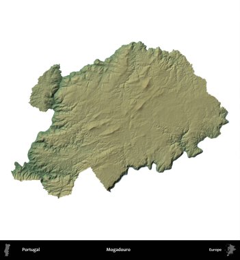 Mogadouro. Portekiz 'in idari bölgesi renkli bir yükseklik haritasında beyaz üzerine izole edilmiş